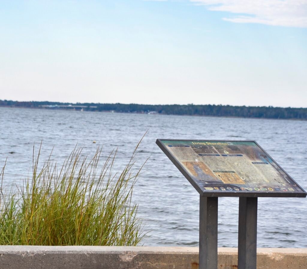 Mullet Point Park bay view and wetlands
