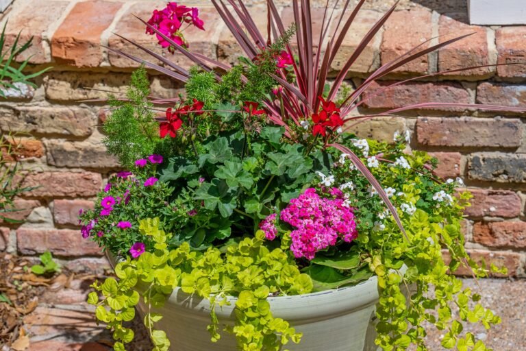Potted flower arrangement with bright pink blooms at Emerson House patio